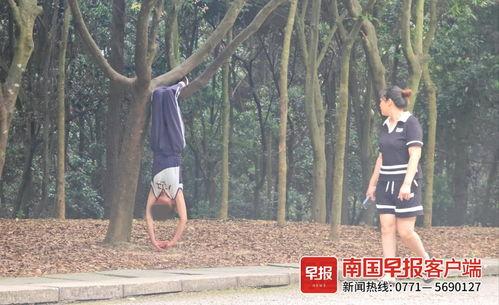 撞树健身视频,撞树健身法揭秘