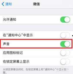 ipad微信视频没声音,iPad微信视频通话无声音问题解析与解决