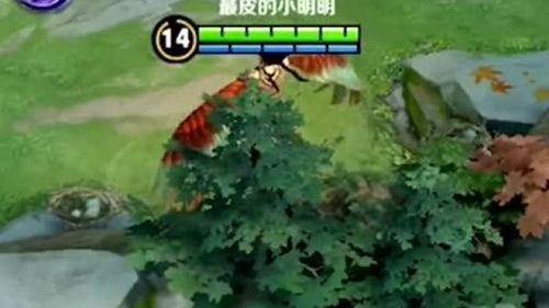 鲁班鸟视频,揭秘古代建筑智慧与自然界的完美融合