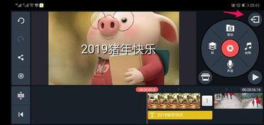 小视频加图片,呈现视觉盛宴