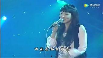 刀郎上海演唱会视频,深情演绎,唤醒回忆的旋律之夜
